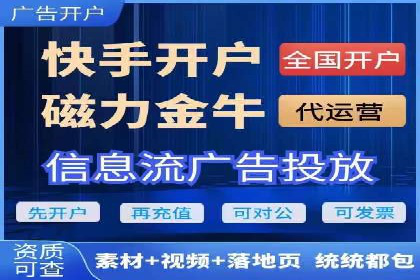 百度竞价与搜索引擎优化（SEO）的协同效应案例
